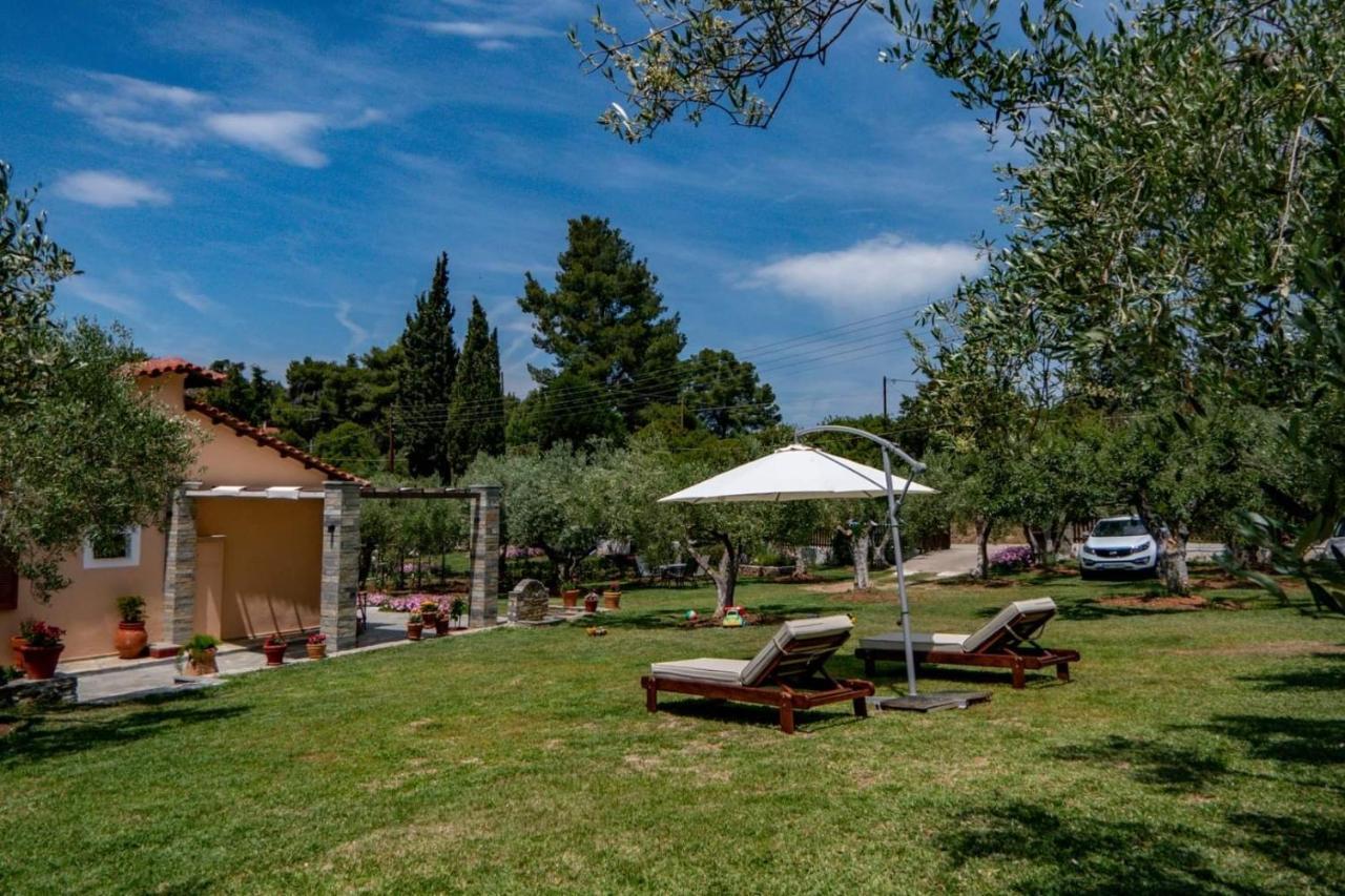 Small Paradise Nikiti  Exterior photo