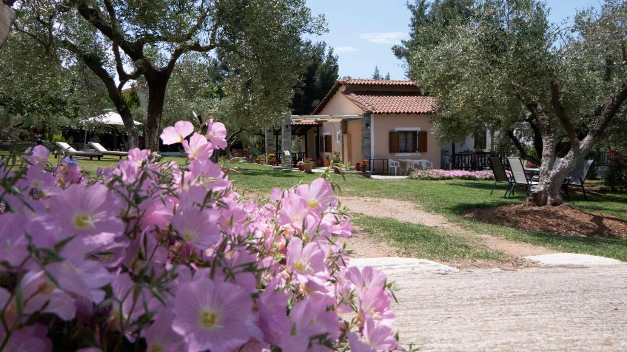 Small Paradise Nikiti  Exterior photo