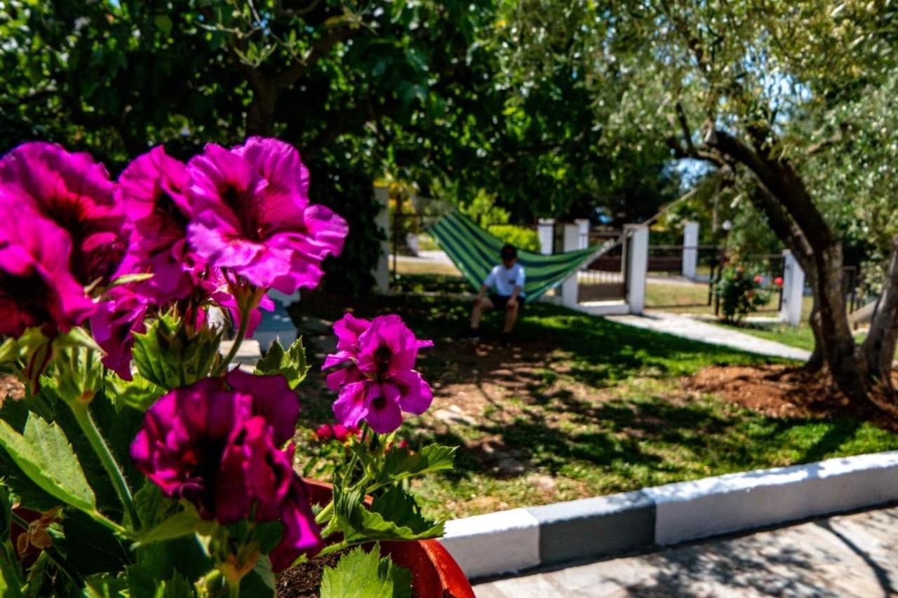 Small Paradise Nikiti  Exterior photo